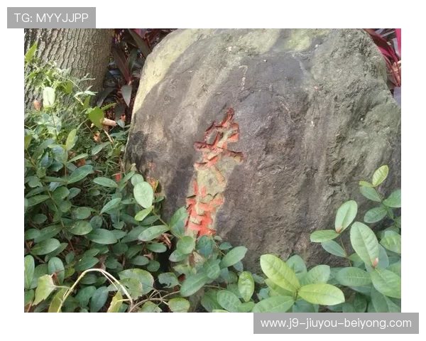 J9九游官方首页最新活动公告与优惠促销信息,第一时间掌握丰富福利内容 J9九游官方首页最新活动公告与优惠促销信息,第一时间掌握丰富福利内容