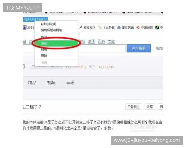 九游体育云达不莱登陆安全指南保障账号安全，避免账号被盗的实用技巧分享